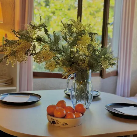 Kakatoes - A 500m Des Plages Appartement *